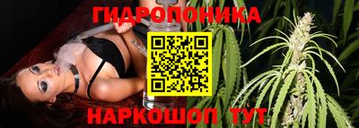 ПСИЛОЦИБИНОВЫЕ ГРИБЫ Канаш