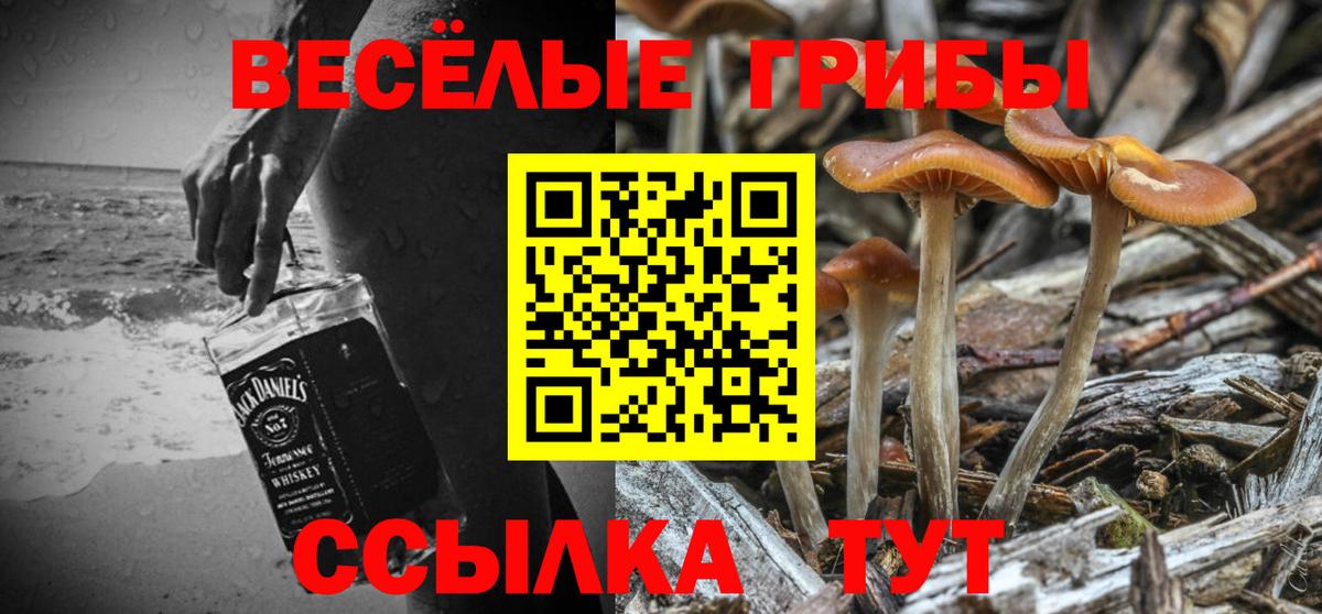 Галлюциногенные грибы Psilocybe  Вход с VPN  Псилоцибиновые грибы MAGIC MUSHROOMS  Курчатов 